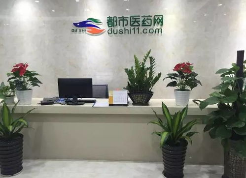 “都市醫藥公司在醫療器械互聯網信息服務的探索與實踐”,